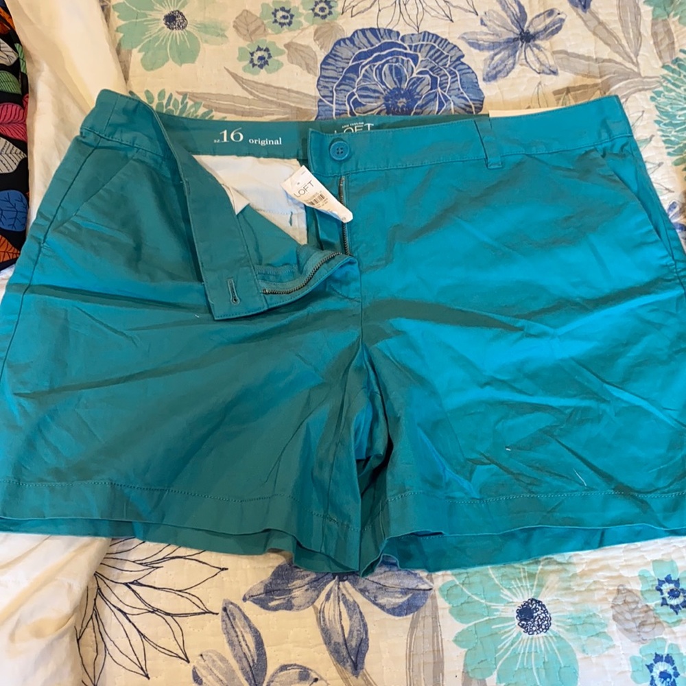 Loft 16 Teal Shorts NWT